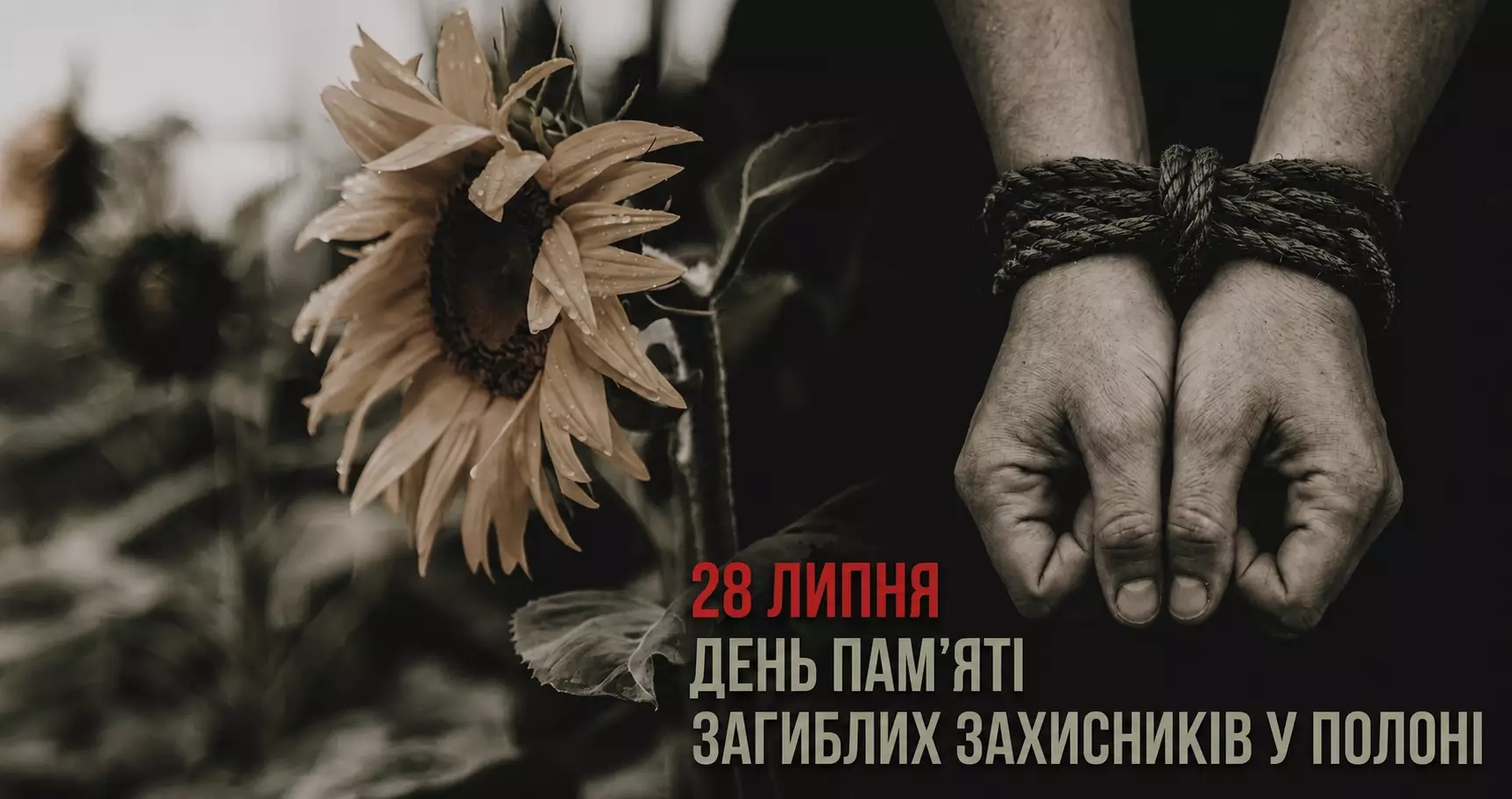 img-6221.PNG