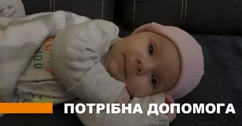 2021-zastavki-safe-imagephp.jpg